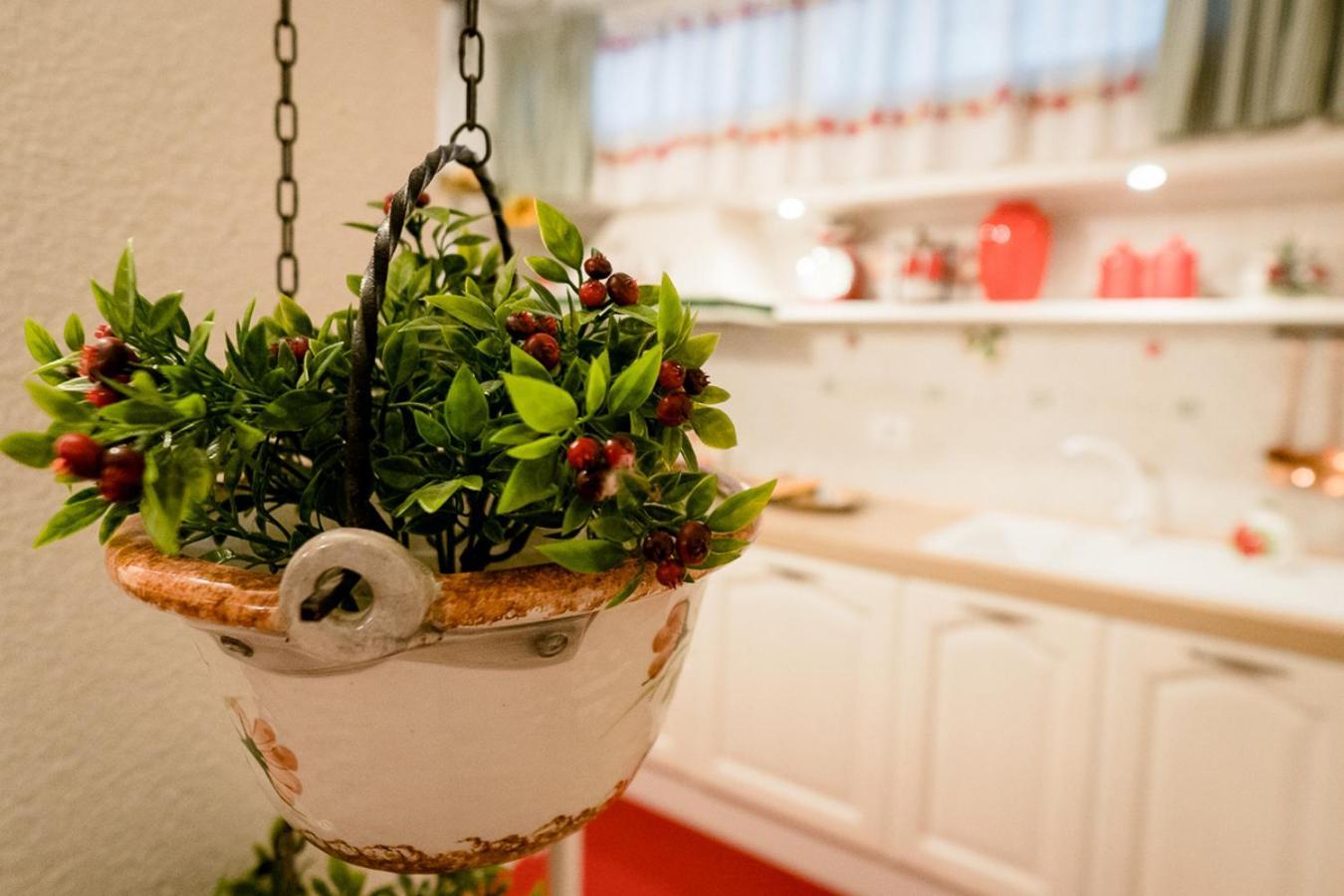 Appartamento Il Papavero Rosso Grosseto Zewnętrze zdjęcie
